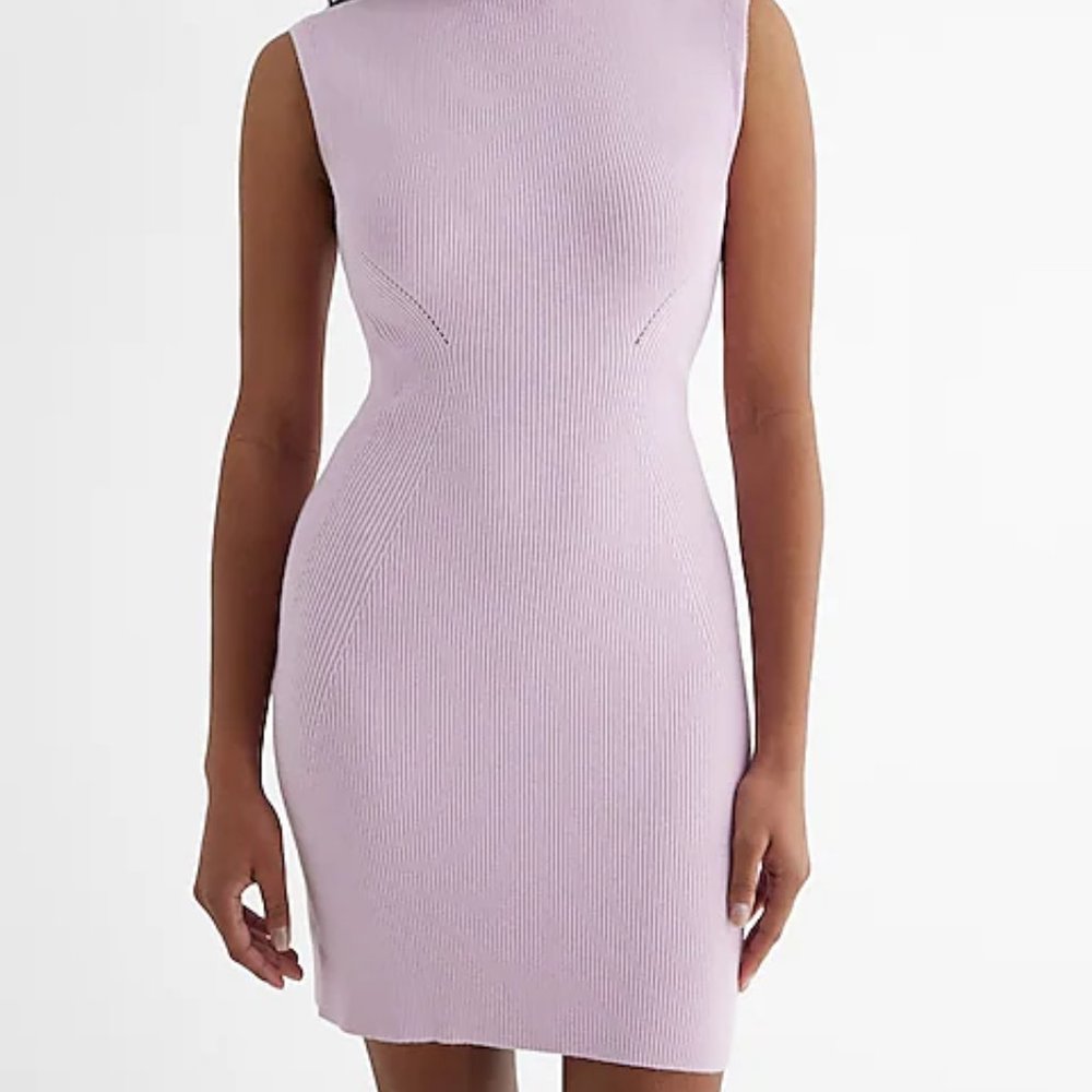 NWOT Express Ribbed Sweater Dress - US Large (never worn) - Picture 3 of 4